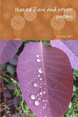 Naked Rain and Other Poems 1