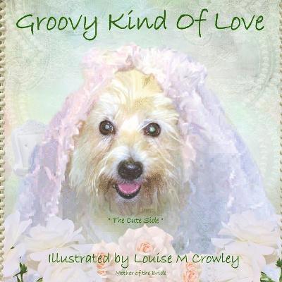 Groovy Kind Of Love 1