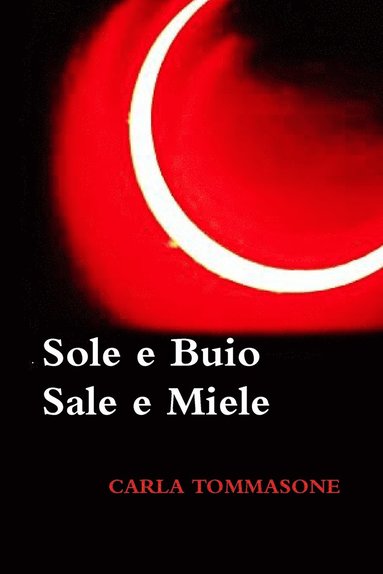 bokomslag Sole E Buio Sale E Miele