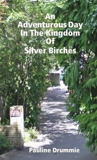 bokomslag Adventurous Day In The Kingdom Of Silver Birches