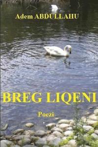 bokomslag BREG LIQENI - Poezi