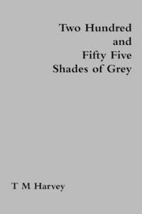 bokomslag Two Hundred and Fifty Five Shades of Grey