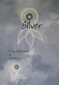 bokomslag Silver