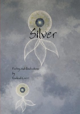 bokomslag Silver