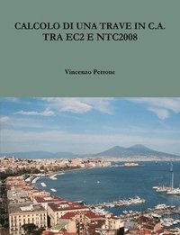 bokomslag Calcolo DI UNA Trave in C.A. Tra Ec2 E Ntc2008