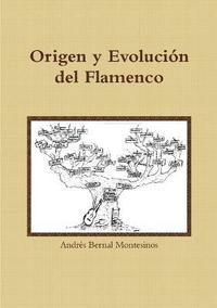 bokomslag Origen Y Evolucion Del Flamenco