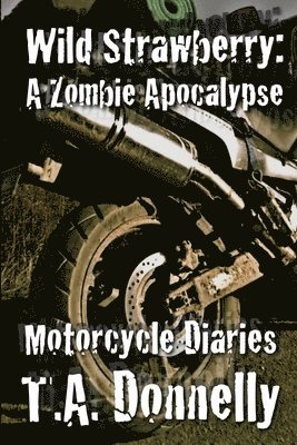 Wild Strawberry: The Motorcycle Diaries