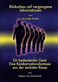bokomslag Ruckschau Auf Vergangene Inkarnationen Und Eine Reinkarnationsfantasie