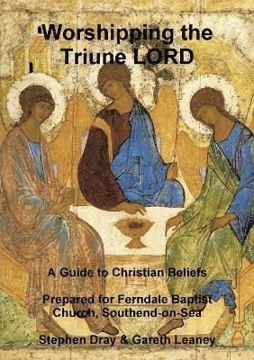 Stephen Dray, Gareth Leaney - Worshipping the Triune LORD, Häftad