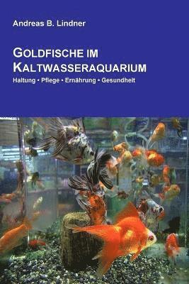 Goldfische Im Kaltwasseraquarium 1