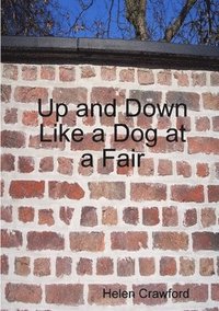 bokomslag Up and Down Like a Dog at a Fair