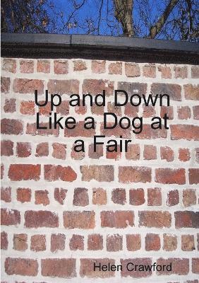 bokomslag Up and Down Like a Dog at a Fair