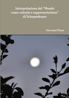 Interpretazione Del "Mondo Come Volonta E Rappresentazione" Di Schopenhauer