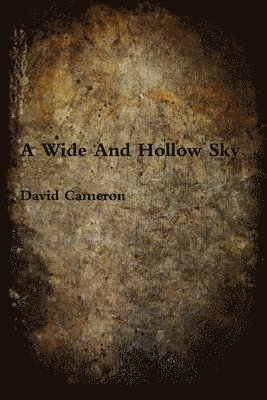 David Cameron - Wide And Hollow Sky, Häftad