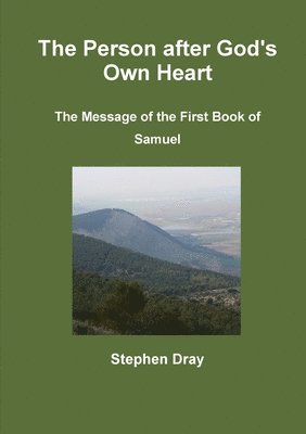 Stephen Dray - Person after God's Own Heart, Häftad