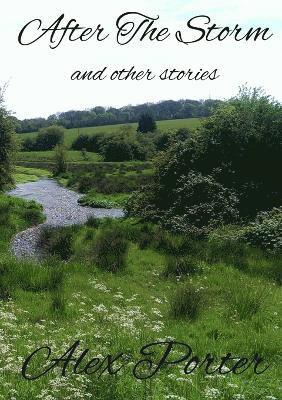 After The Storm and Other Stories 1