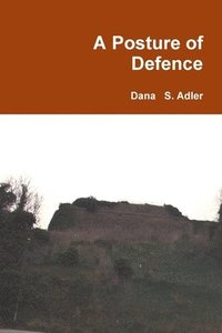 bokomslag Posture of Defence