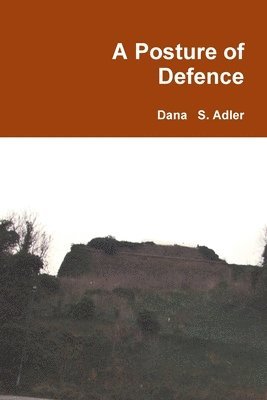 bokomslag Posture of Defence
