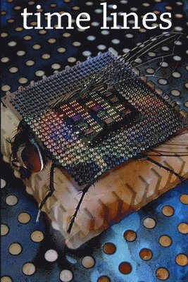 James Knight, Richard Biddle, Aksania Xenogrette, Mina Polen, Sandcave, Mandy Gibson - Time Lines, Häftad