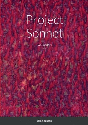 bokomslag Project Sonnet