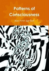 bokomslag Patterns of Consciousness