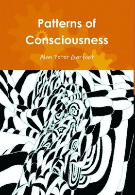 Patterns of Consciousness
