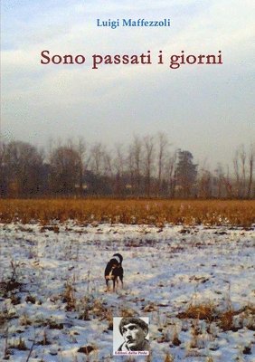 bokomslag Sono Passati I Giorni