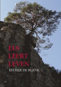 bokomslag Els Leert Leven