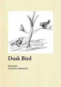 bokomslag Dusk Bird