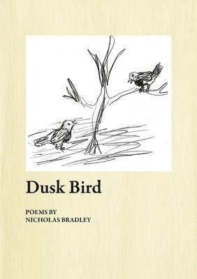 Dusk Bird 1