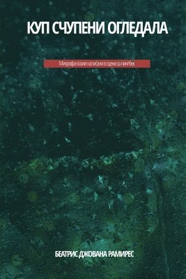 Beatriz Giovanna Ramirez - КУП СЧУПЕНИ ОГЛЕДАЛА, Häftad