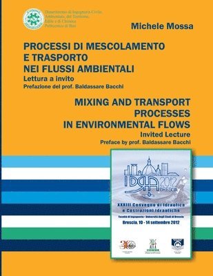 bokomslag PROCESSI DI MESCOLAMENTO E TRASPORTO NEI FLUSSI AMBIENTALI. Lettura a Invito / MIXING AND TRANSPORT PROCESSES IN ENVIRONMENTAL FLOWS. Invited Lecture