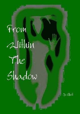 bokomslag From Within The Shadow