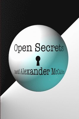 bokomslag Open Secrets