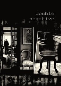 bokomslag Double Negative