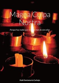 bokomslag Magna Culpa Nostra