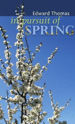 In Pursuit of Spring