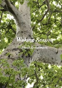bokomslag Waking Season