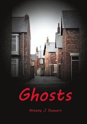 bokomslag Ghosts