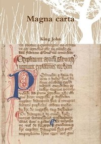 bokomslag Magna Carta