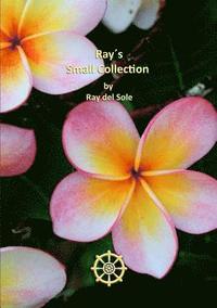 bokomslag Ray's Small Collection