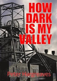 bokomslag How Dark is My Valley