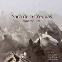 bokomslag La Saca de las Yeguas