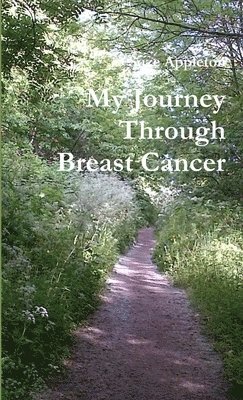 bokomslag My Journey Through Breast Cancer