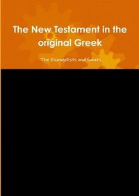bokomslag New Testament in the Original Greek