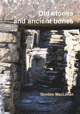 Old Stones and Ancient Bones 1