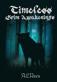 bokomslag Timeless, Grim Awakenings