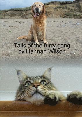 Tails of the furry gang 1