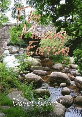 David Beard - Missing Earring, Häftad