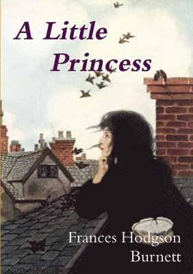 bokomslag Little Princess